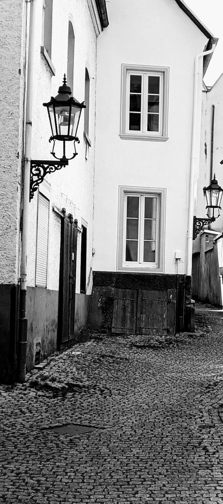 II Gemuetliches 1-Zimmer-Apartment & Eigenes Bad II Coblenza Exterior foto